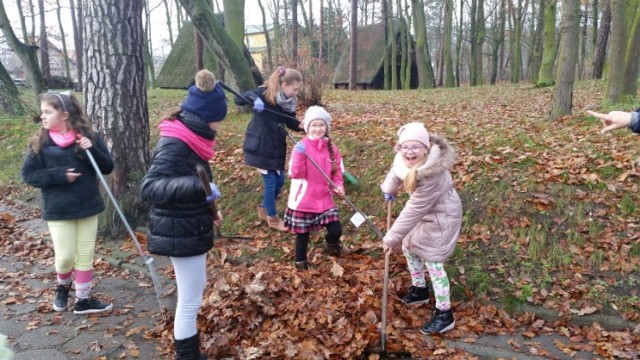 Stegna. Akcja "Ratuj kasztanowce"