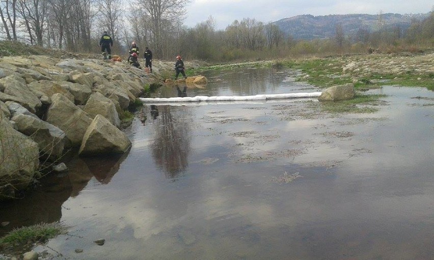 Skażenie rzeki w Jeleśni. Rzeka Koszarawa skażona czerwoną substancją [ZDJĘCIA]