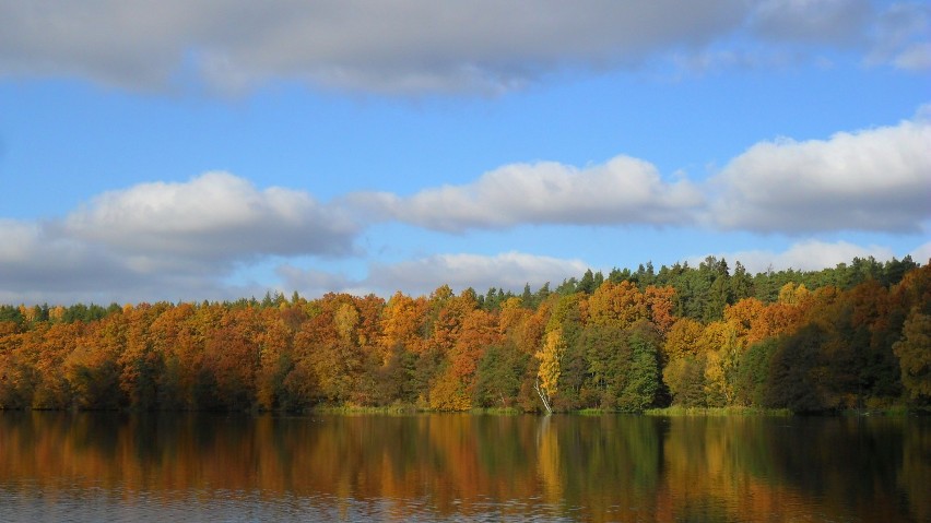 Jezioro Goszyńskie