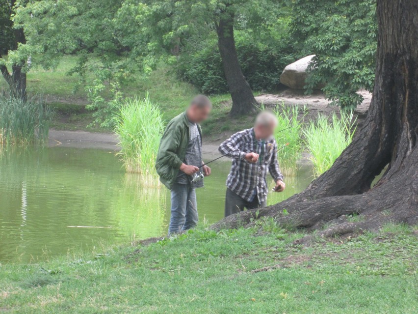 Bezdomni łowili ryby w parku Wilsona