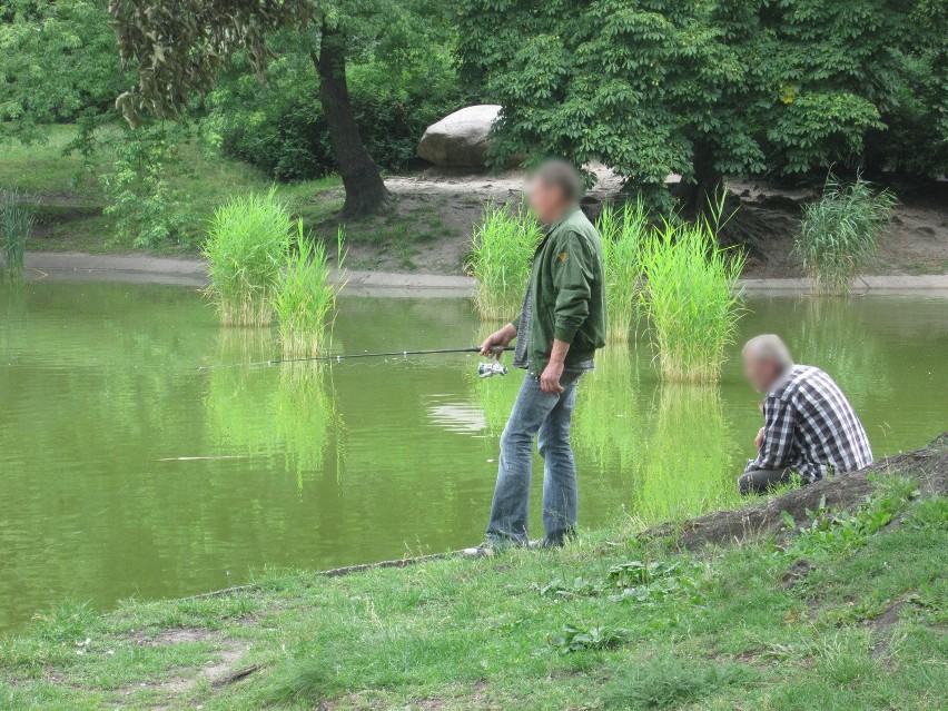 Bezdomni łowili ryby w parku Wilsona