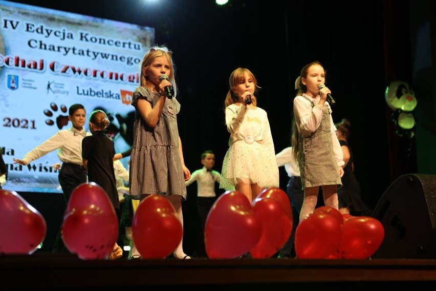 Koncert charytatywny „Kochaj czworonogi” w Janowie Lubelskim. Zbierano dary dla potrzebujących zwierząt. Zobacz zdjęcia