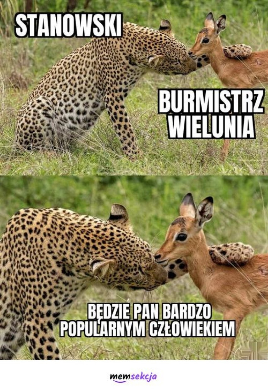 Rok temu o Wieluniu zrobiło się bardzo głośno. Memy krążą po sieci do dziś