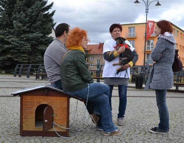 Malbork: &quot;Zerwijmy łańcuchy&quot; na placu Jagiellończyka