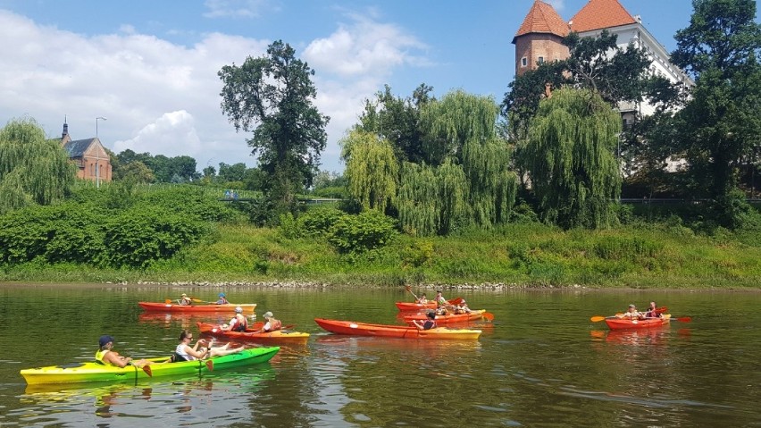 Gmina Sandomierz organizuje akcję letnią pod hasłem "Podwórkowy Wychowawca". Zobacz szczegóły