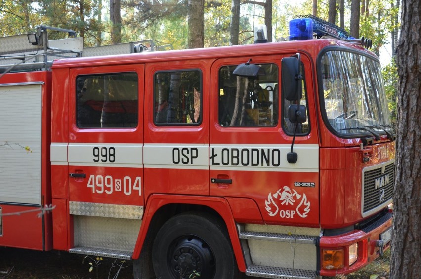 Pożar lasu w Łobodnie. Strażacy z gminy Kłobuck odbyli ćwiczenia ZDJĘCIA  