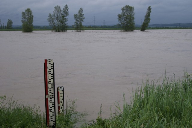 Opady w Żorach: czy grożą nam podtopienia?