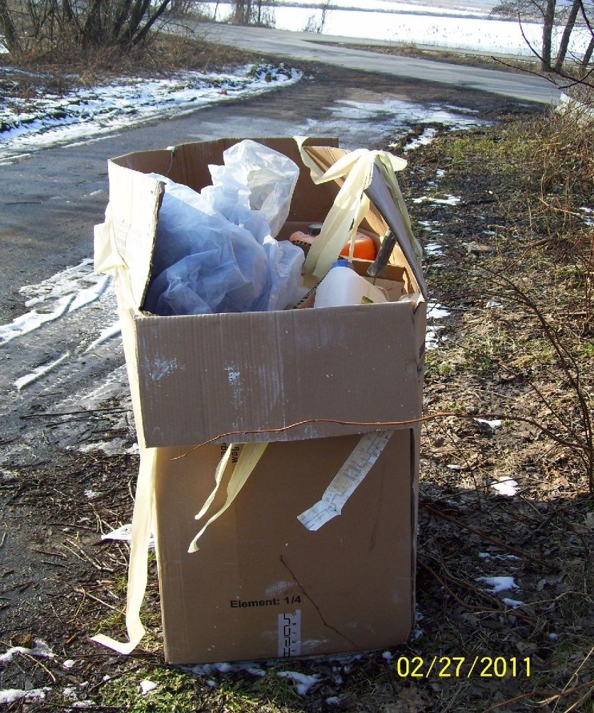 Bielsko-Biała: Patrol ekologiczny - dzikie wysypiska śmieci w pobliżu Czechowic-Dziedzic i Bestwiny