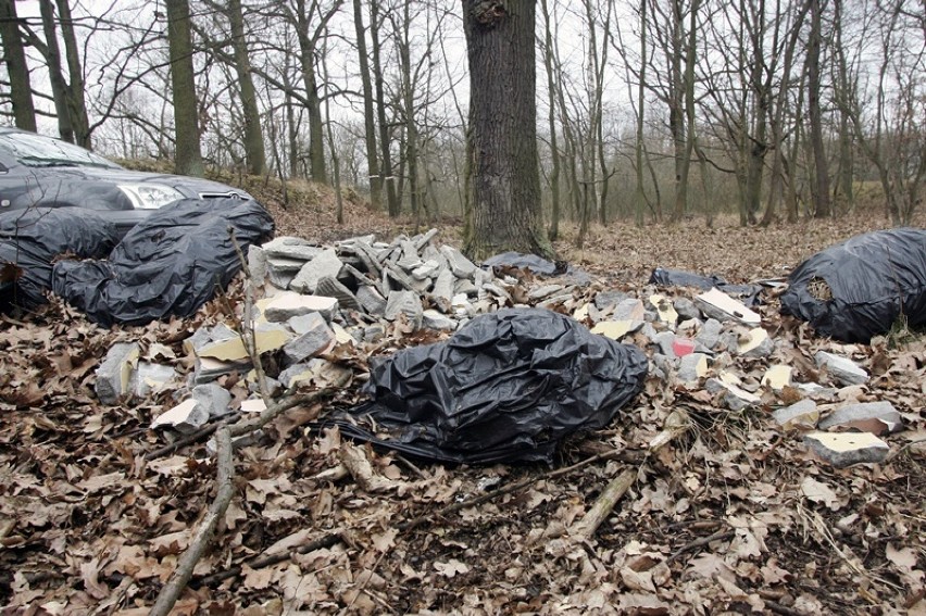 Dzikie wysypisko śmieci w lasku przy ulicy Polkowickiej w Legnicy [ZDJĘCIA]