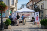 Nowy Sącz. Nie było pikiety, lecz … „Namiot Wolności”