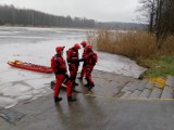 Żory: Sarna nie ruszała się na lodzie. Na pomoc ruszyła straż pożarna