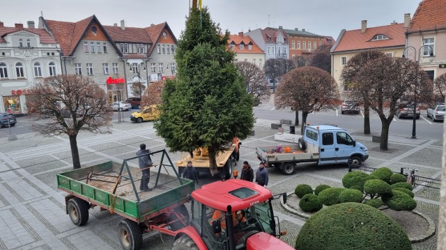 Poczuj magię nadchodzących Świąt Bożego Narodzenia. Choinka stanęła na Rynku w Pleszewie. W mieście zaczyna się robić świątecznie