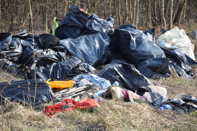 Teren za osiedlem Zacisze w Zielonej Górze i wzdłuż torów kolejowych został mocno zanieczyszczony. Dbajmy o środowisko, w dobie koronawirusa, szczególnie