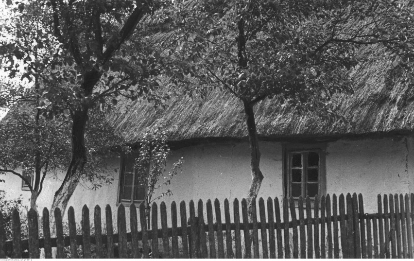 Dom rodziny Bieganków - Fragment chaty
