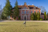 Osiemnastowieczny pałac w Leźnie na sprzedaż - cena wywoławcza to 16 mln zł