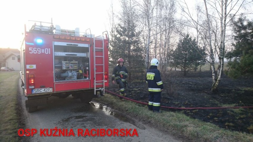 Strażacy gasili pożar trawy w Rudzie