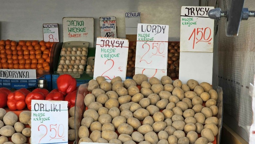 Ziemniaki w cenie do 1,5 do 2 złotych za kilogram