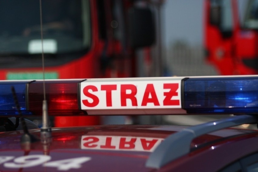 Strażacy gasili pożar w budynku Media Hub przy ul. Łąkowej w...