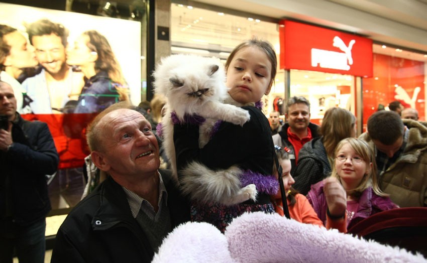 Światowy Dzień Kota w Galerii Łodzkiej