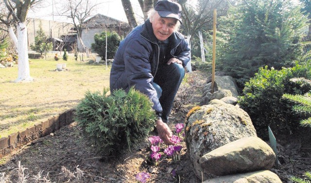 Marek Damas spędza na działce przy ul. Milenijnej w Tomaszowie kilka godzin dziennie. Obawia się, że wcześniej czy później dojdzie do likwidacji ogrodu. Nie bez racji