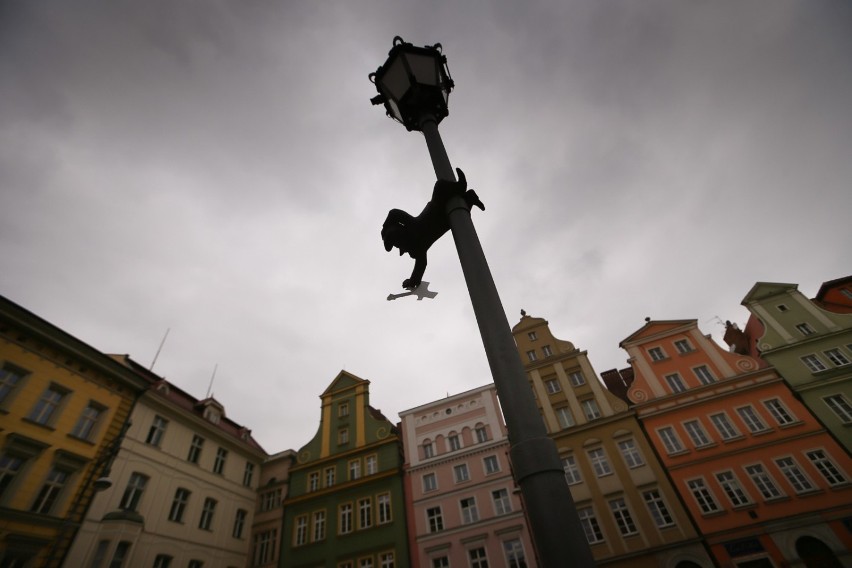 Wrocławskie krasnale to nie jedyni przewodnicy polskich...