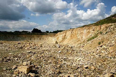 Wykopaliska w kamieniołomie Owadów-Brzezinki prowadził zmarły przedwcześnie w roku ubiegłym dr Adrian Kin