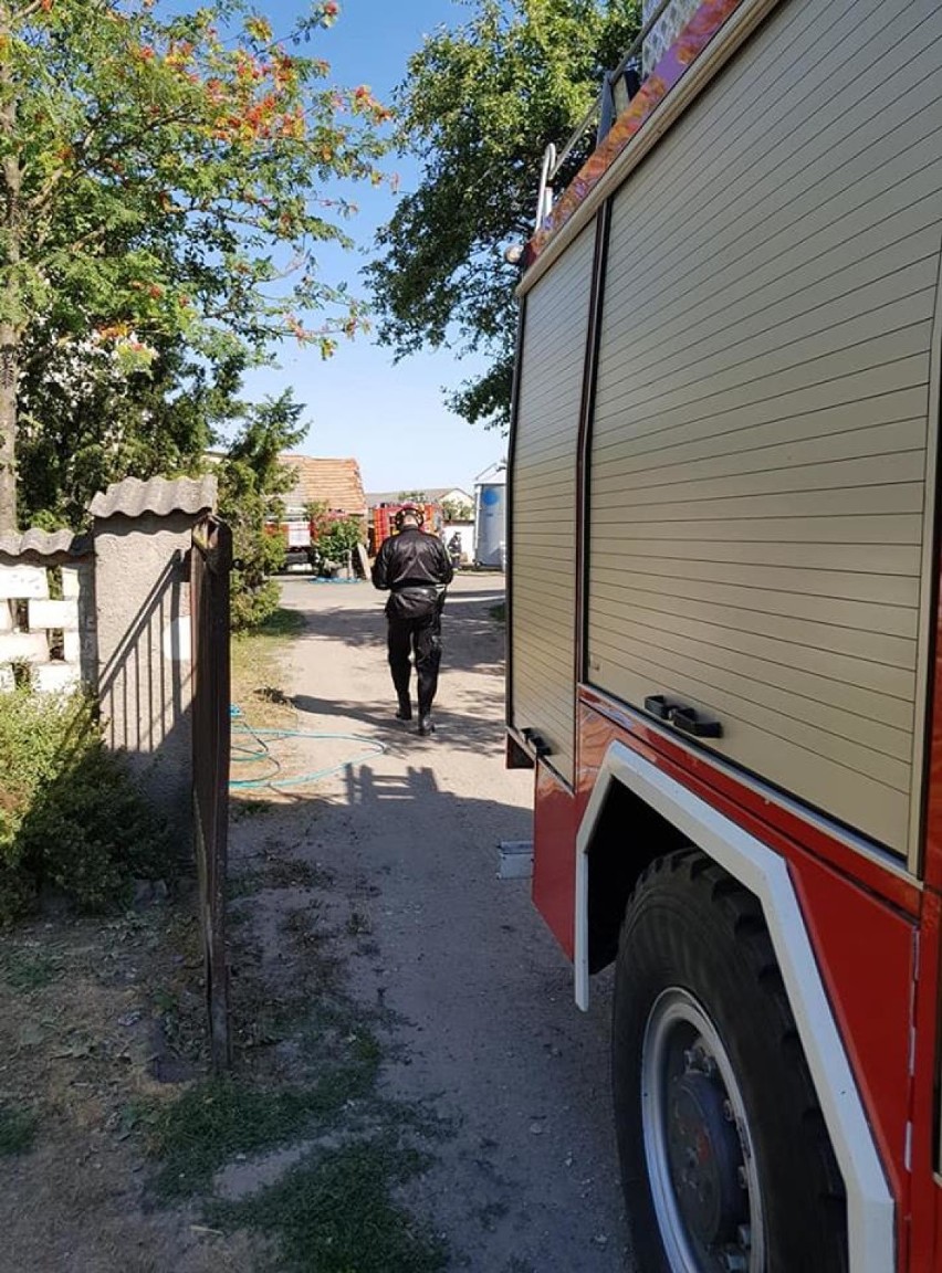 Z pożarem budynku gospodarczego walczyli także strażacy z powiatu wągrowieckiego