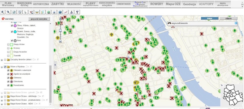 Mieszkańcy Warszawy mogą sprawdzać, które drzewa są do wycinki. To pierwszy taki system w Polsce