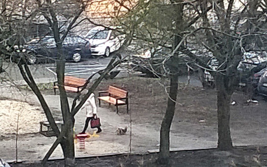 Psia ubikacja na jednym z podwórek przy ul. Krakowskiej w...