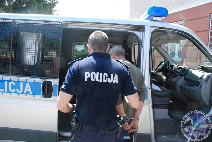 Władysławowo: areszt za pobicie i zakopanie żywcem psa?