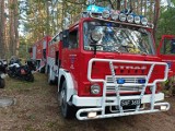 Pożar lasu w Porębach w gminie Zduńska Wola   