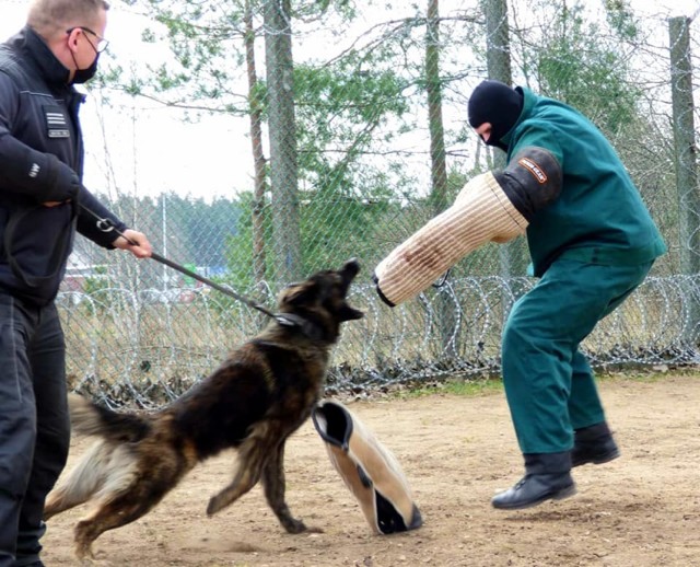 Ćwiczenia psów słuzących w Areszcie Śledczym