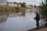 Otwarte spinningowe zawody wędkarskie o Puchar Burmistrza Śremu. PZW Śrem-Miasto zaprasza do udziału!