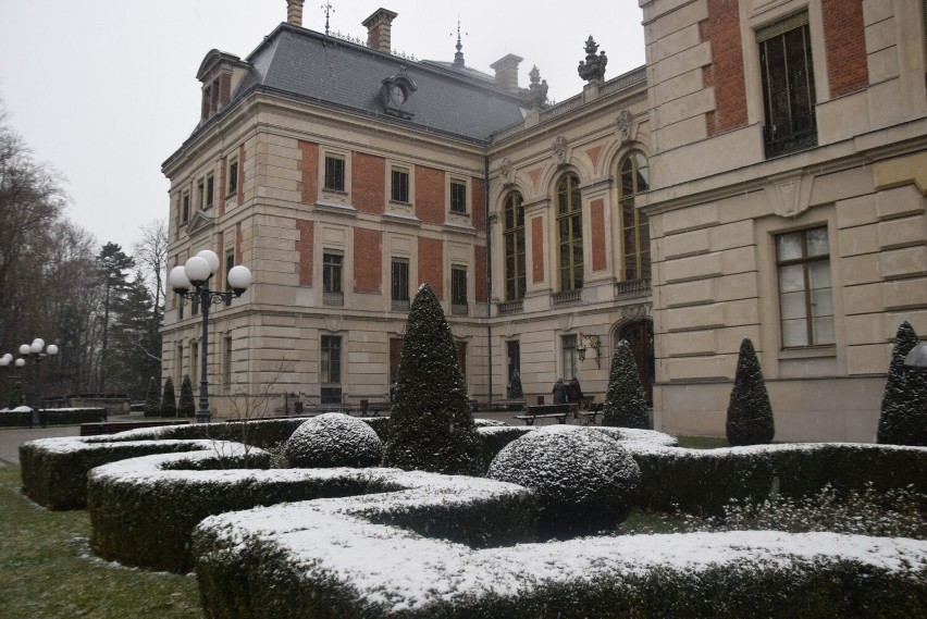 Wiosna z Fryderykiem na zamku pszczyńskim