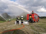 Wspólne ćwiczenia strażaków nad brzegiem Warty