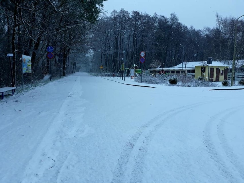 Nadmorskie Wicie. Zimą tu także jest pięknie [ZDJĘCIA]