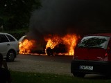 Wrocław: Volkswagen spłonął niedaleko Magnolii (ZDJĘCIA)