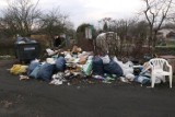 Kolejne dzikie wysypisko śmieci w Opolu 