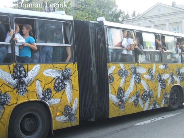 12 września 2009. Bicie rekordu Guinessa w ilości os&oacute;b mieszczących się do Ikarusa. Fot. Damian Leciak