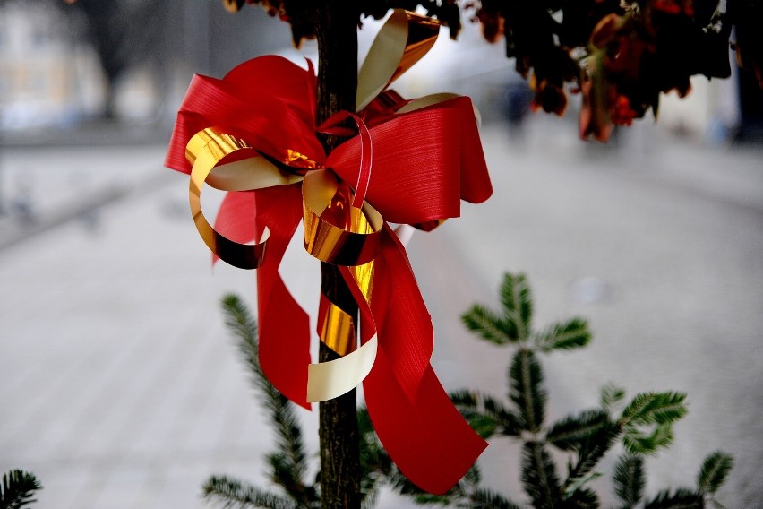 Szopka przed starostwem i ozdoby świąteczne na ulicach przypominają w Jaśle, że Boże Narodzenie tuż-tuż [ZDJĘCIA]