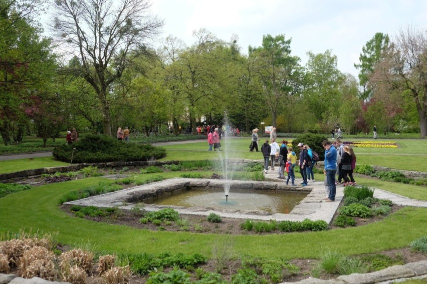 Ogród Botaniczny Poznań: Mnóstwo atrakcji podczas majówki