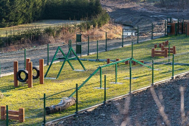 Trwają intensywne prace wzdłuż potoku Jabłonieckiego w miejskim parku w Limanowej. Jest tam już psi park oraz siłownia.