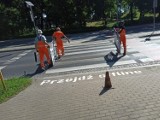  "Przejdź offline" - takie  piktogramy pojawiły się na przejściach dla pieszych w Grudziądzu. Przydałyby się w Żninie? 