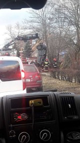 Wypadek na Grunwaldzkiej w Gdańsku. Pijany kierowca stracił panowanie nad samochodem [zdjęcia]