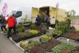 Przed nami wiosenne targi ogrodnicze w Przechlewie. Dwudniowe wydarzenie organizowane jest już po raz drugi!