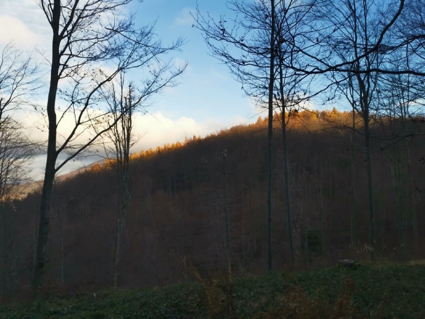 Gorlickie. Z Regietowa do Wysowej i z powrotem. Jeszcze jest czas na jesienny wypad w Beskid Niski. Warto, dla widoków [ZDJĘCIA]