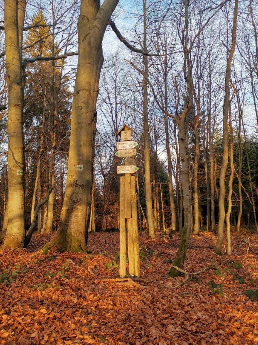 Gorlickie. Z Regietowa do Wysowej i z powrotem. Jeszcze jest czas na jesienny wypad w Beskid Niski. Warto, dla widoków [ZDJĘCIA]