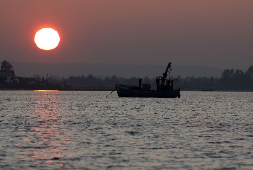 Kłusownictwo na Zatoce Gdańskiej. Pół tony nielegalnie złowionych ryb w sieciach