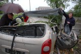 Wypadek w Tarnowie. Potężny konar dosłownie zmiażdżył zaparkowane samochody [ZDJĘCIA, WIDEO]