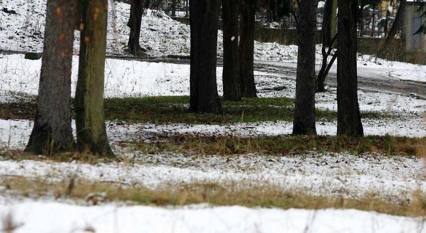 Wałbrzych; Zima wróciła na chwilę (ZDJĘCIA)